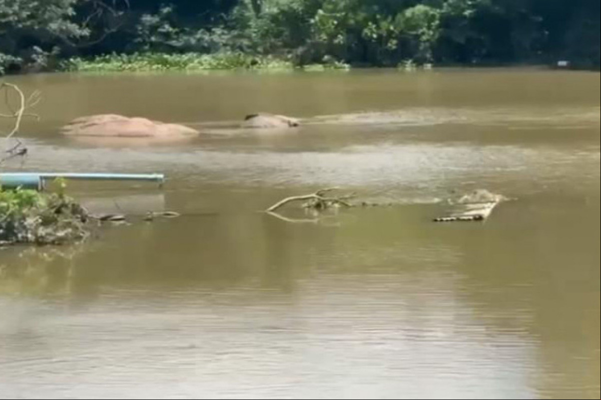 Draga Posicionada no Rio Una/Divulgação/PE Draga Posicionada no Rio Una/Divulgação/PE