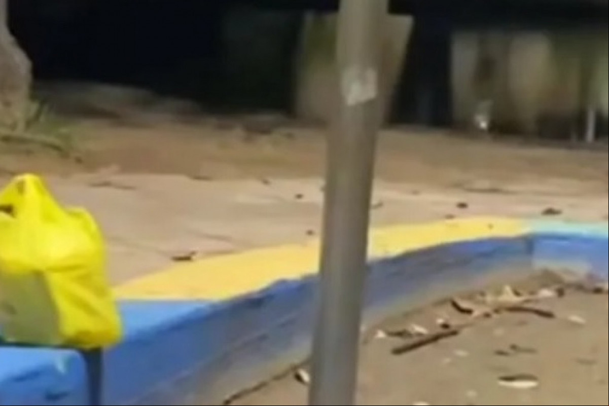 Poste em que cão foi eletrocutado fica em Olinda (Redes Sociais ) Poste em que cão foi eletrocutado fica em Olinda /Redes Sociais
