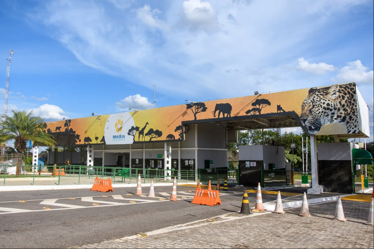 Zoológico de Brasília (KEBEC NOGUEIRA/METRÓPOLES @kebecfotografo) Zoológico de Brasília/KEBEC NOGUEIRA/METRÓPOLES @kebecfotografo